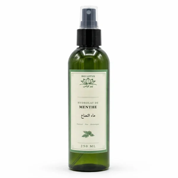hydrolat de menthe Hydrolat de Menthe
