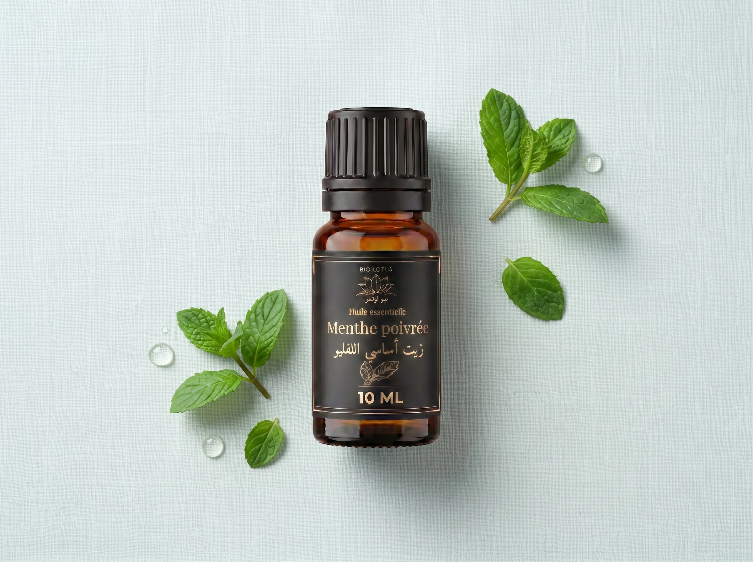 Huile essentielle de menthe poivrée Bio Lotus 10ml vue du dessus entourée de feuilles de menthe fraîches
