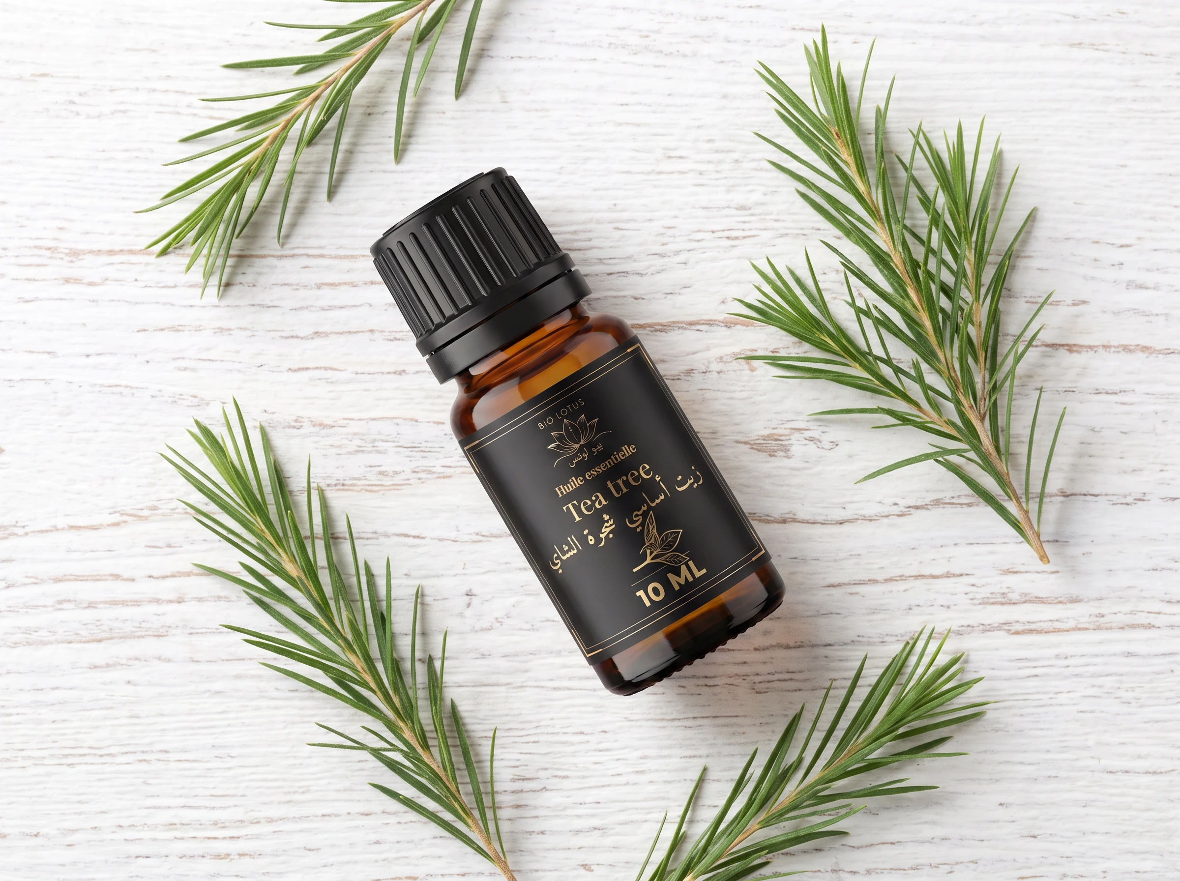 Huile essentielle tea tree Bio Lotus 10ml avec feuilles de Melaleuca alternifolia, origine naturelle