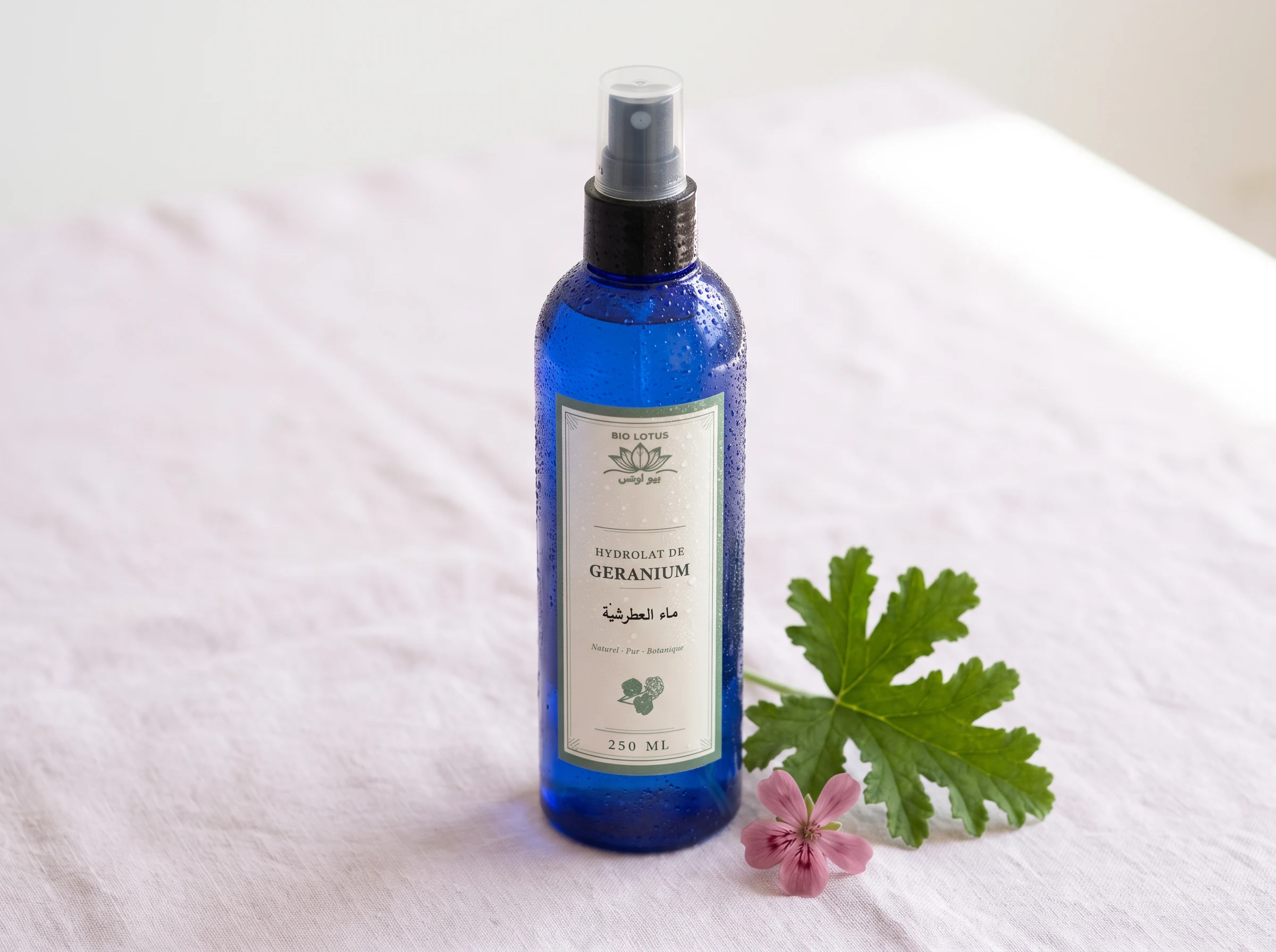 Brume de confort à l'hydrolat de géranium Bio Lotus posée sur un tissu doux avec une fleur de géranium