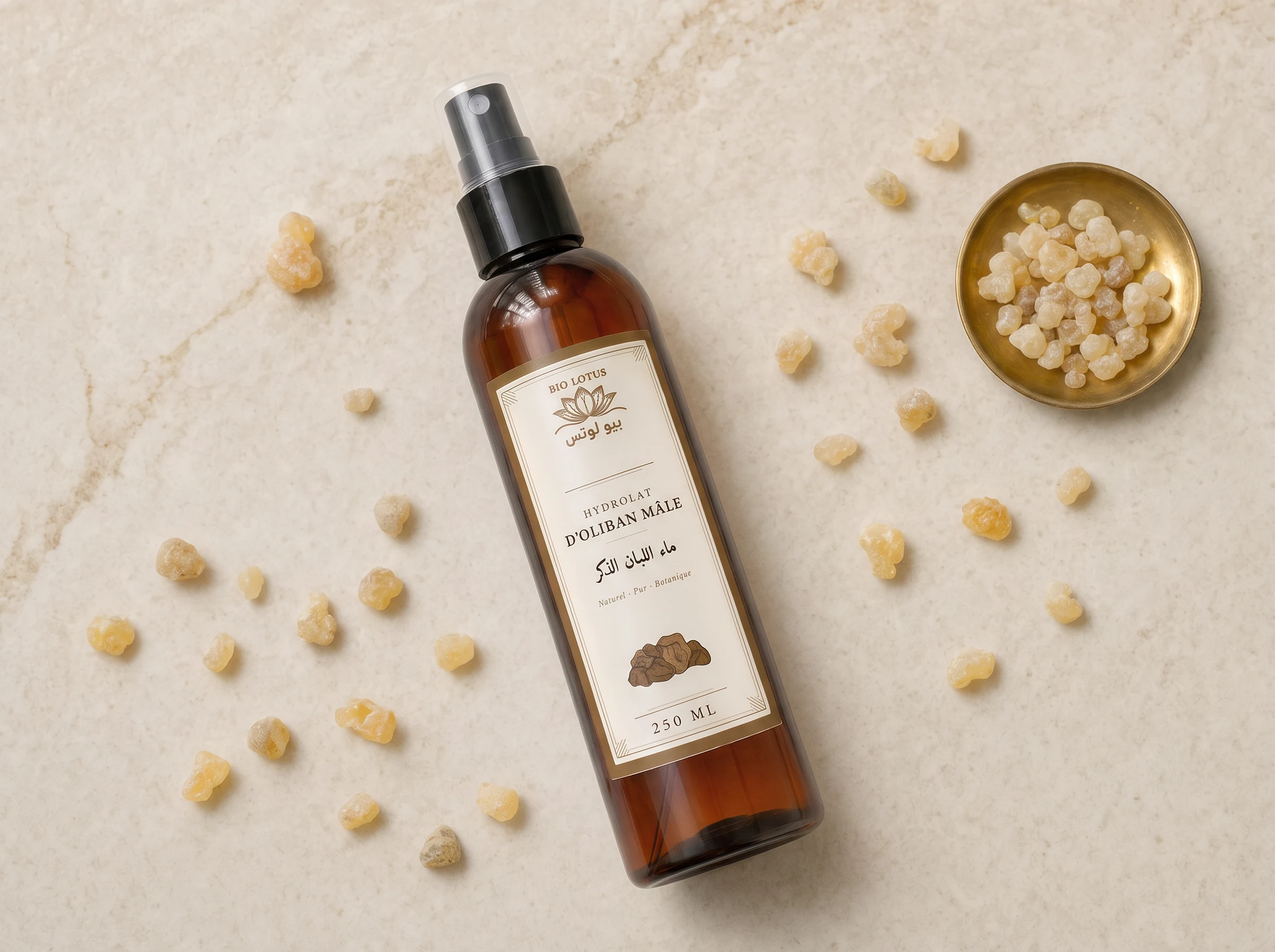 Flacon d’hydrolat d’oliban Bio Lotus posé parmi des grains de résine d’oliban