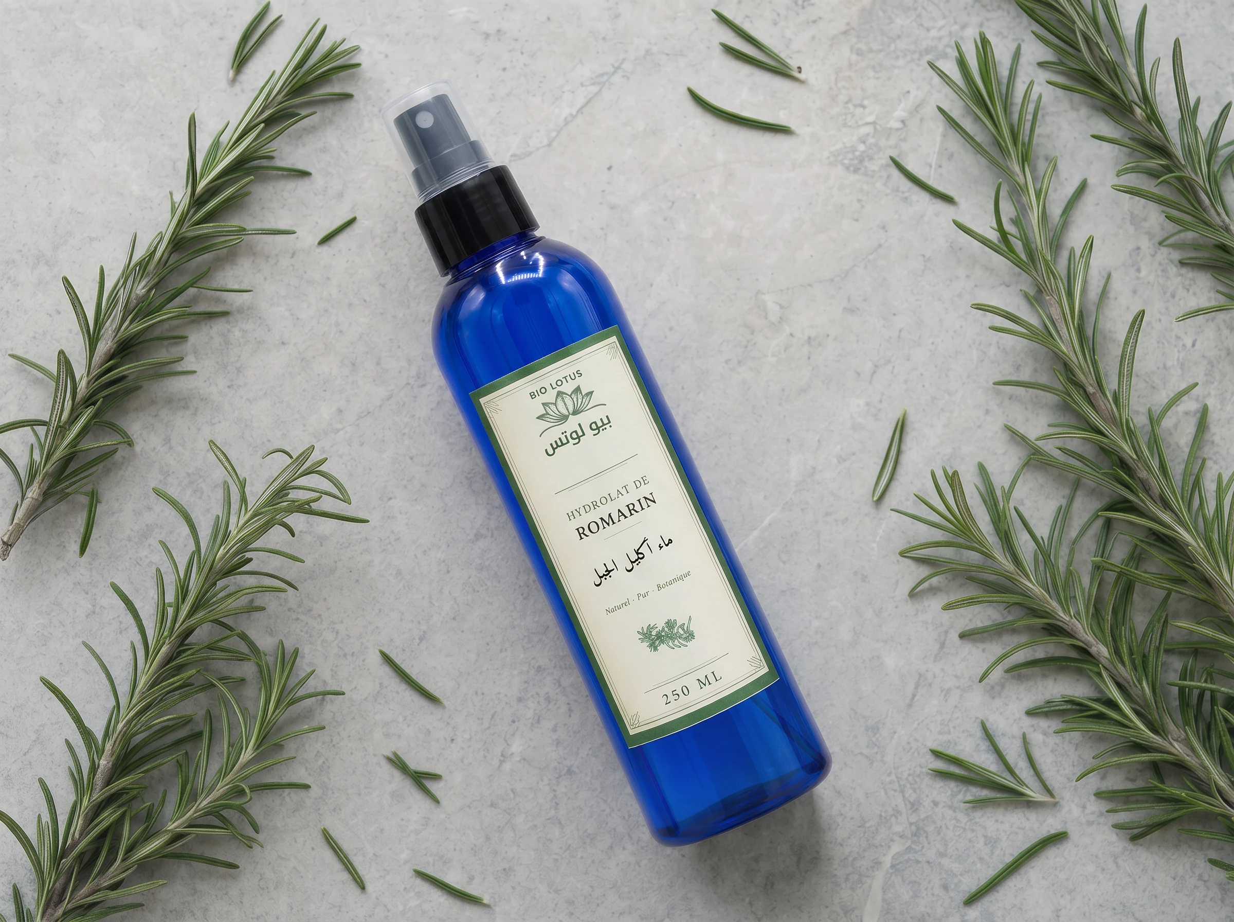Hydrolat de romarin Bio Lotus 250ml entouré de sommités fleuries fraîches de Rosmarinus officinalis