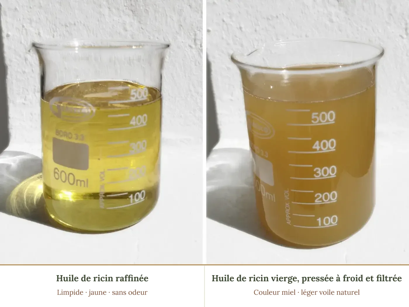 À gauche, une huile de ricin raffinée du commerce, jaune et limpide ; à droite, une huile de ricin vierge pressée à froid et filtrée, non raffinée, couleur miel et d’aspect voilé